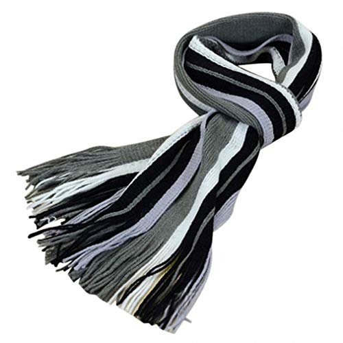 Tinpia Men Scarves Striped Shawls Foulard Fall Business Scarf Echarpe with Tassels