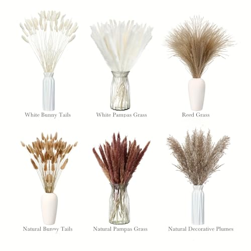 102 piezas ramo flores secas preservadas pampas chic boho miniatura 3