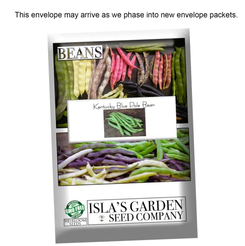 "Kentucky Blue" Pole Bean Seeds For Planting, 30+ Heirloom Seeds Per Packet, Non Gmo Seeds, (Isla's Garden Seeds), Botanical Name: Phaseolus Vulgaris, Great Home Garden Gift #TOP6
