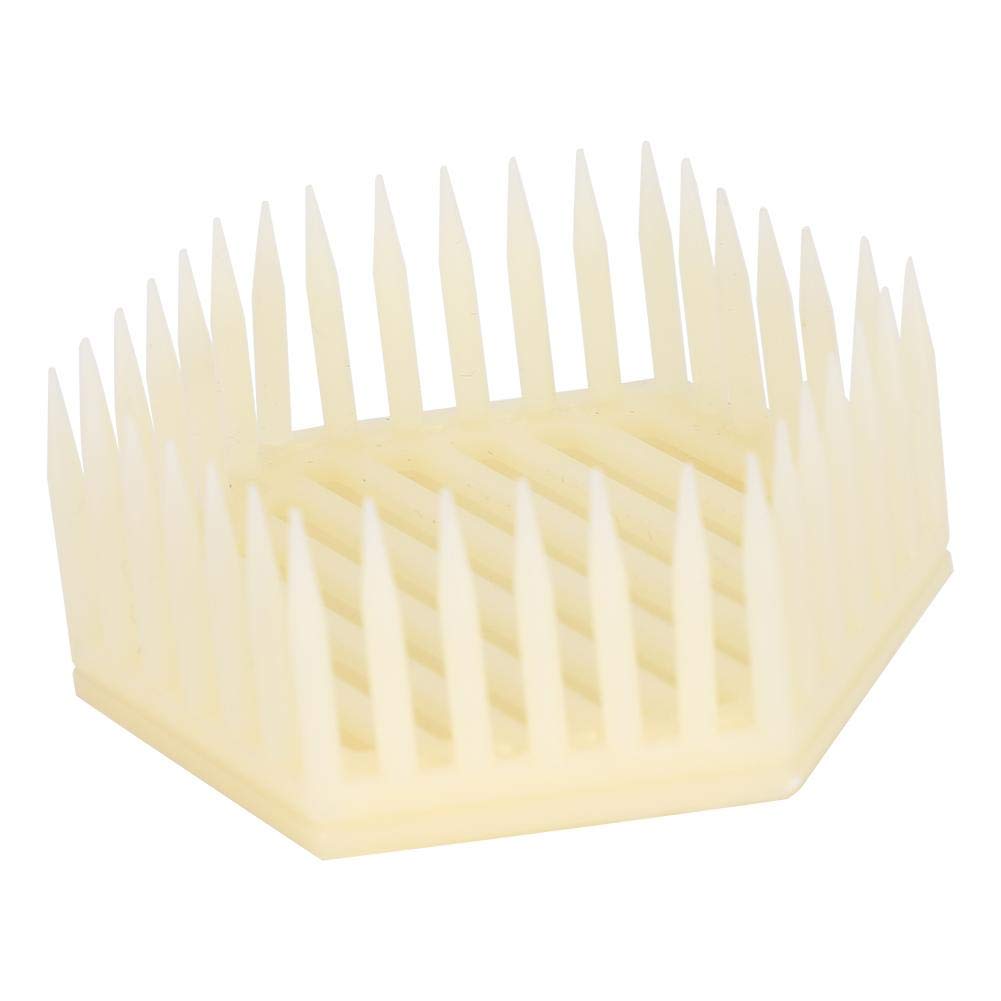 Cage à Reine Plastique, Sécurité Non Toxique Réutilisable, Protection Colonie Ruche, 10 Pièces Hexagonale, Outil Apiculture Jardin Extérieur