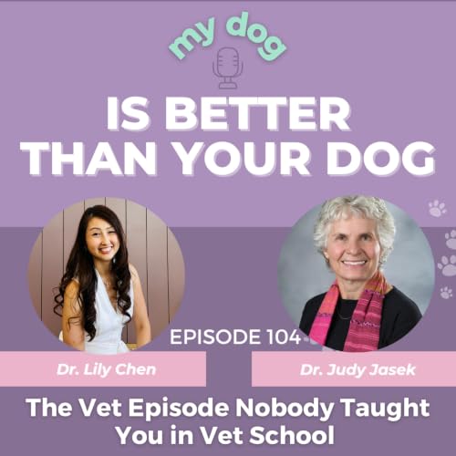 The Vet Episode Nobody Taught You in Vet School w/ Dr. Judy Jasek