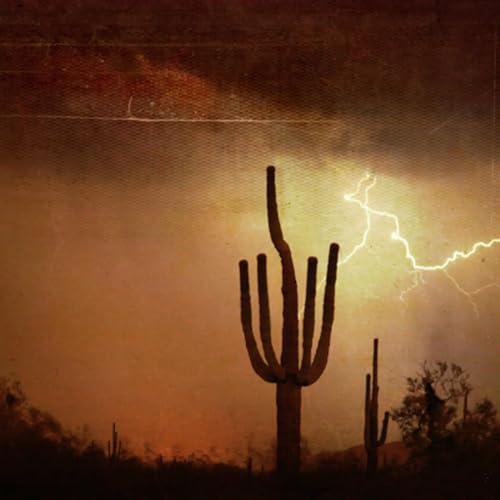 S5E28: 4 Things You Need to Know about Desert Flooding