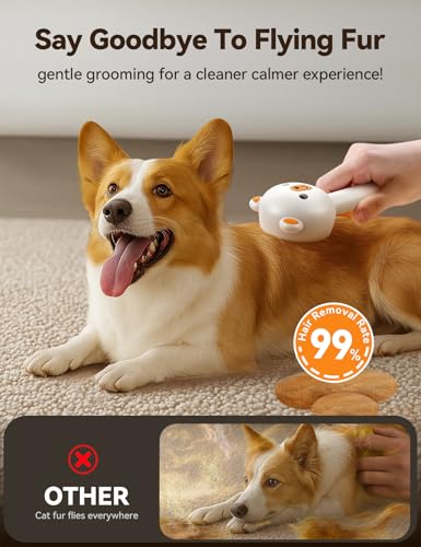 Image of Pet Steam Brush for Dogs & Cats, Brushes for Indoor Cats with Release Button, Undercoat Removal Grooming brush, Dual Spray USB Rechargeable, Dog Brush for Shedding for All Long- and Short-haired Pets