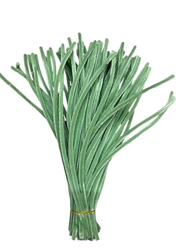 Image of 100Pc Pipe Cleaners Craft Set | Chenille Stem Fuzzy Sticks DIY Craft Supplies for Art Projects Activities, Decorations, Flower Making, Modeling & Sculpting (Pista Green)