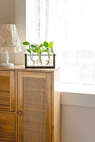 Mkono Propagation Vase Glass Terrariums With Wooden Stand Farmhouse Glass Planter Bulb Vases For Hydroponics Plants Room Home Office Decor #TOP3