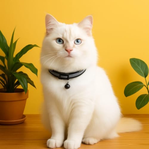 Image of Adjustable Cat Collar with Bell | Soft & Comfortable Kitten Collar | Breakaway Safety Design for Indoor & Outdoor Cats | Lightweight, Durable & Stylish (Orange)