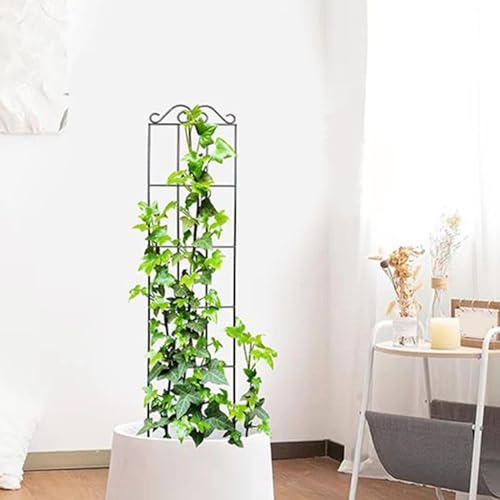 Rejilla para plantas en maceta de hierro apta para flores y verduras de interior 3