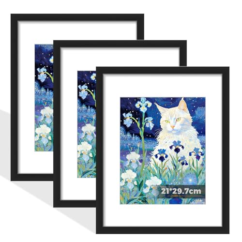 KOOSREEL A4 Picture Frame with Mount, Black Famlily Photo Frame with High-Definition Perspex Front, Wall Mount & Tabletop Display, Portrait & Landscape Orientation, 21x29.7cm