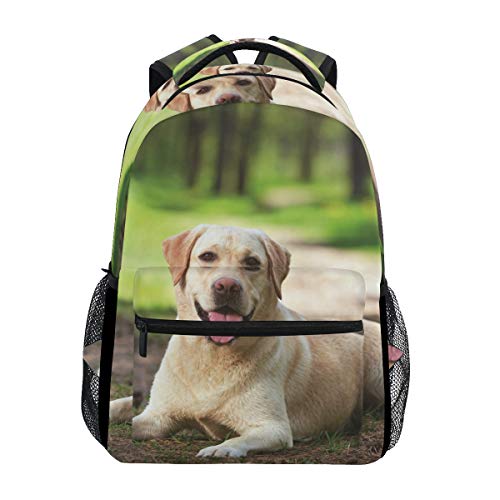 Preisvergleich Produktbild LIUBT Süßer Hund Casual Rucksack Student Schultasche Reisen Wandern Camping Daypack