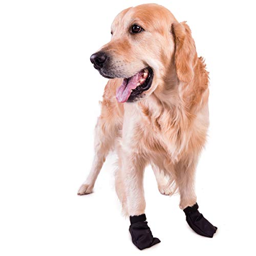 Non-Stop dogwear SOLID BOOTIES 4er | 131 | fester Pfotenschutz, Größe:L