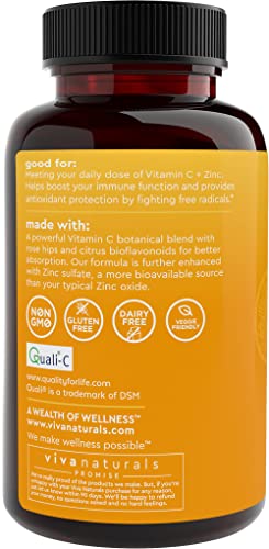 Vitamin C With Zinc (250 Veggie Capsules) - Vitamin C 1000Mg And Zinc 20Mg With Citrus Bioflavonoids And Rose Hips, Immune Support Supplement And Powerful Antioxidant #TOP7