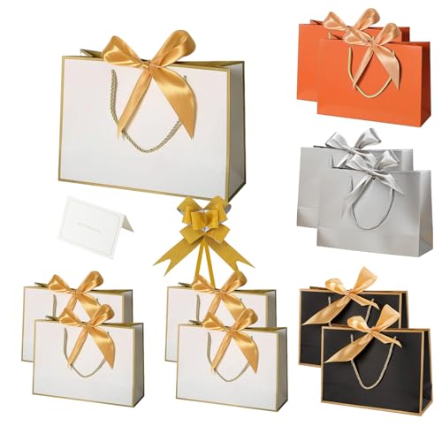 Small Gift Bags with Handle and Cards 10PCS A4 Size