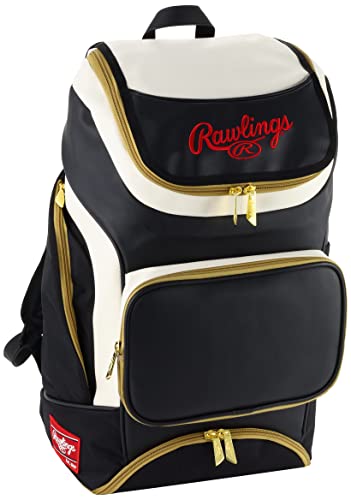 ローリングス (Rawlings) 野球用 バッグ (リュック タイプ) 