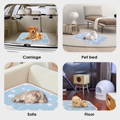 Colchón de verano para perros idóneo para playa interior y coche 6