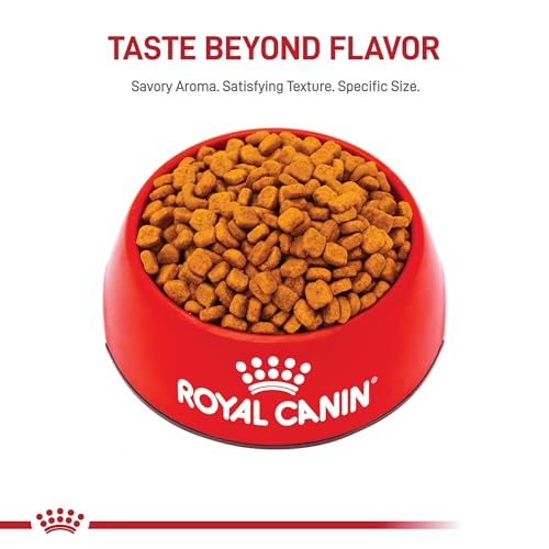 ROYAL CANIN Breed Health Nutrition Poodle Adult Dry Dog Food, 2.5-Pound by Royal Canin