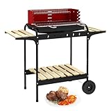 Camping Grill, Grillfläche: ca. 53 x 34 cm,Höhenverstellbare Roste, mit 2 Seitenablagen,2 Räder,Windschutz Barbeque Grill Outdoor für Fleisch,Fisch Gemüse