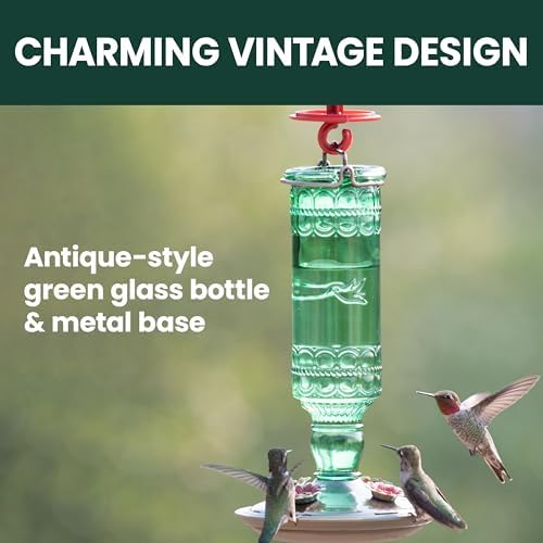 Perky-Pet Glass Bottle Hummingbird Feeder - Outdoor Garden Décor Humming bird Feeder, 8108-1SR - 10 Fl Oz Nectar Capacity - Durable Green Antique Design - Hang from Tree, Porch, Deck, Hook — view 3