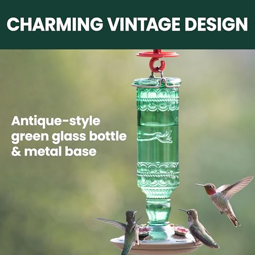 Perky-Pet Glass Bottle Hummingbird Feeder - Outdoor Garden Décor Humming bird Feeder, 8108-1SR - 10 Fl Oz Nectar Capacity - Durable Green Antique Design - Hang from Tree, Porch, Deck, Hook by Perky-Pet - Image 4