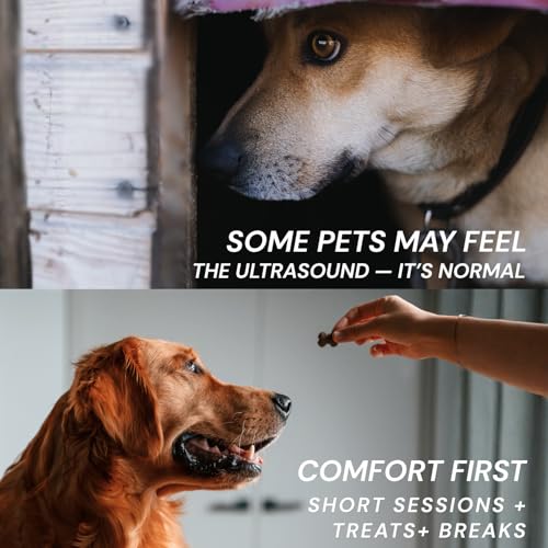 Image of SIRGAWAIN Pet Ultrasonic Dental Cleaner - Complete Cleaning Kit for Dogs & Cats (BJHUY2)