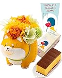 長崎心泉堂 母の日 花とお菓子 プリザーブド フラワー ギフト プレゼント まるっと 柴犬 イエロー 和菓子 母の日カステラ セット アニマル MDPE