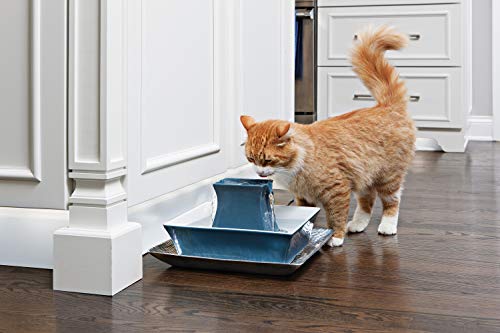 PetSafe Ersatz-Schaumfilter für Drinkwell Keramik- & Edelstahl-Trinkbrunnen 360, Hält Trinkwasser sauber für Katzen und Hunde, 2-Pack