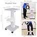 HUOXOU Esthetician Trolley Cart, Esthetician Rolling, Beauty SPA Salon Trolley Cart with Wheels, Tattoo Table Work Salon Station, Load 220 lbs