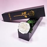 Zoom IMG-1 yamonic rosa stabilizzata regalo donna Zoom IMG-1 yamonic rosa stabilizzata regalo donna