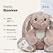 Bearington Boomer The Stuffed Bunny, 10.5 Inch Stuffed Bunny Plush