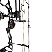 Bear Archery Royale Ready to Hunt Compound Bow Archery Set with Archery Accessories for Adults and Youths, 12”- 27” Draw Length, 5-50 Lbs Draw Weight, Up to 290 FPS
