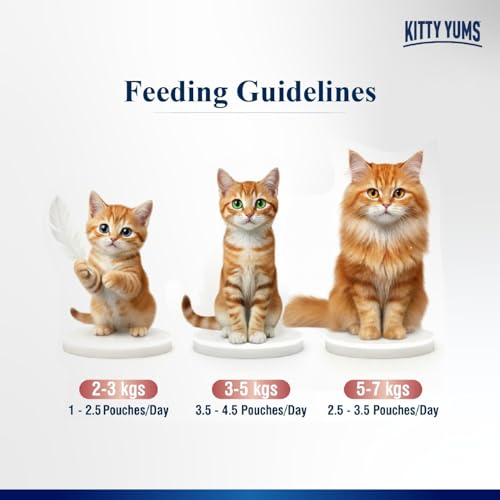 Image of Kitty Yums Adult Cat Wet Mousse 80g | Salmon | Rich in Protein | Promotes Hydration & Easy to Digest | Grain Free | No Artificial Flavours | Packed with Essential Vitamins & Antioxidants