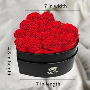 Preserved flowers heart shape box 16 preserved roses immortal red roses gift for her eternal fresh flowers for mothers day women valentines day gifts for wife  urban country home decor