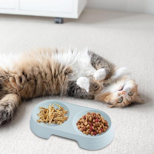 Welpennäpfe | Macaron Elevated Cat Double Bowl | Welpenfutter- und Wassernäpfe-Set, Fressnäpfe zum Füttern von kleinen, mittelgroßen Hunden, Katzen, Welpen