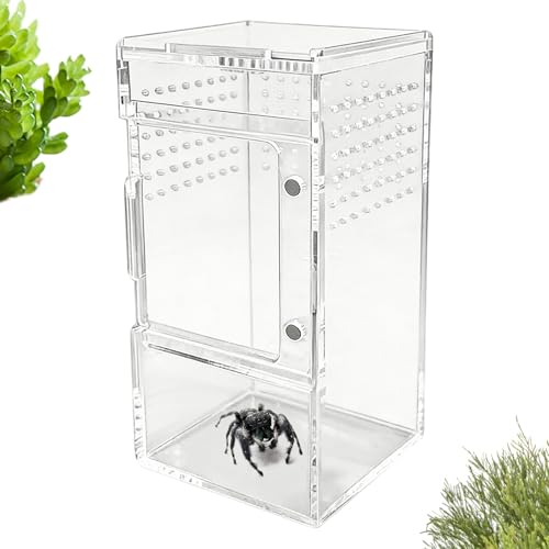 Terrarium reptile à ventilation optimale avec trou d'aération intégré
