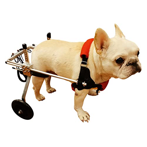 Fauteuil roulant pour animaux de 1.5 à 20 kg contre la paralysie