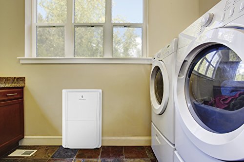 Friedrich 70 Pint Dehumidifier with Built-In Drain Pump, D70BPA - Thumbnail 3