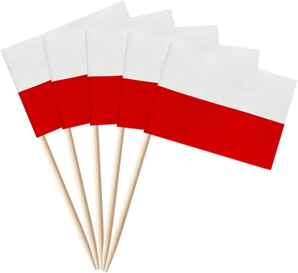 stidsds 100 Pcs Bosnia and Herzegovina Flag Bosnia and Herzegovina Toothpick Flags Mini Small Bosnia and Herzegovina Cupcake Toppers Stick Flags Banner Party Cocktail Fruit Decoration