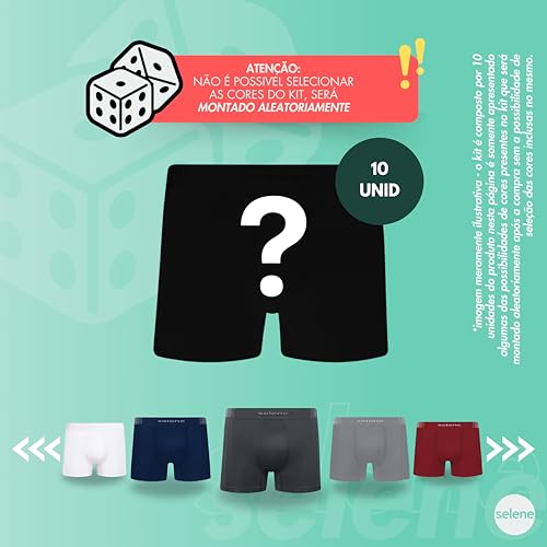 SELENE Kit 10 Cueca Boxer Sem Costura Microfibra Poliamida Cós Elástico 40MM Masculino Adulto, Sorti