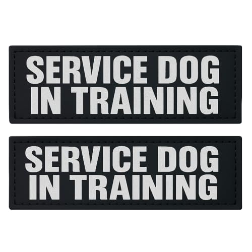 Albcorp Reflective Service Dog In Training Patches with Hook Backing for Service Animal Vests /Harnesses Large (6 X 2) Inch