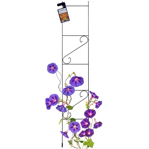 KADAX Rankgitter, Rankhilfe aus Stahl, Kletterhilfe für Garten, Pflanzen, Rosen, Kletterpflanzen, Pflanzengitter, Rankleiter, wetterfestes Spalier, Deko, freistehend, schwarz (Höhe: 150 cm)