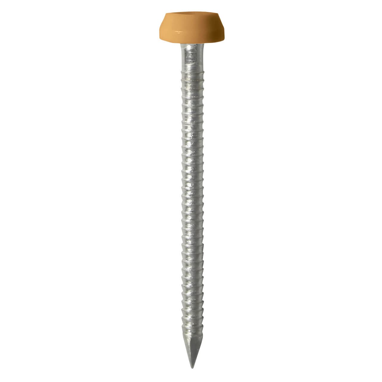 TIMCO PN30O Polymer Headed Nail 30mm - Oak (Box of 100) โ image 1