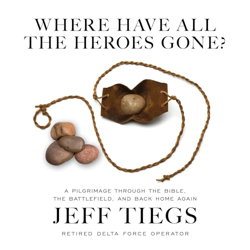Where Have All the Heroes Gone? by Jeff Tiegs episode artwork