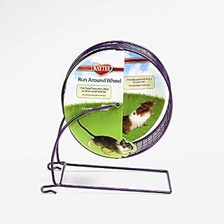 Kaytee Run-Around Exercise Wheel, Mini, 4.5", Colors Vary