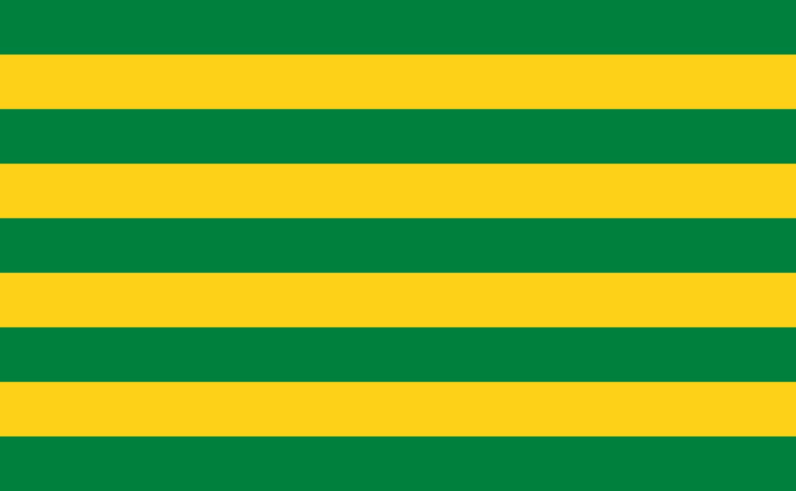 Drapeau XL Canton Gualaceo de l'Équateur pavillon grand format 90x150 cm