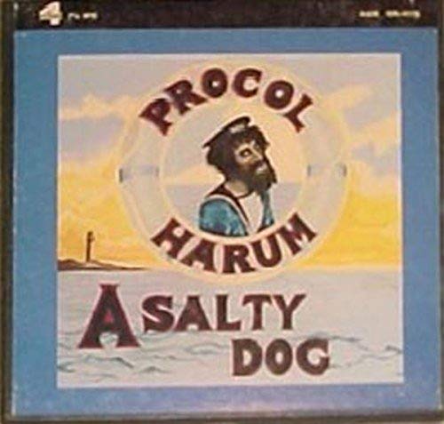 A Salty Dog