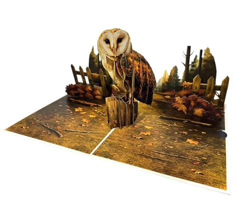 PQDGlobal 3D Owl Pop-Up Card – Handmade Bird-Themed Paper Art for Birthday, Anniversary, Chris
