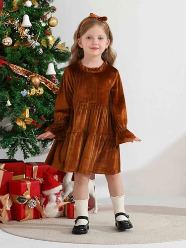 AlisOker Baby and Toddler Girls Velvet Dresses Christmas Dress Long Sleeve Birthday Party Playwear Dress Fall Winter Clothes Brown
