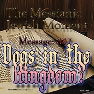 Dogs in the Kingdom? cover art
