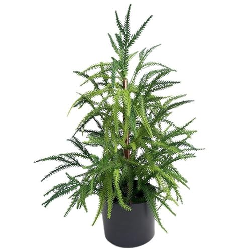 Pino Norfolk artificial mini pinos de plastico decorativos para mesa de interior 2