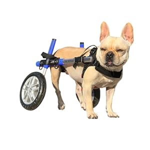 Walkin’ Wheels Small Dog Wheelchair, Lightweight Dog Wheelchair for Back Legs, 15-25 lbs, for 6-8 inches Leg Height – Blue