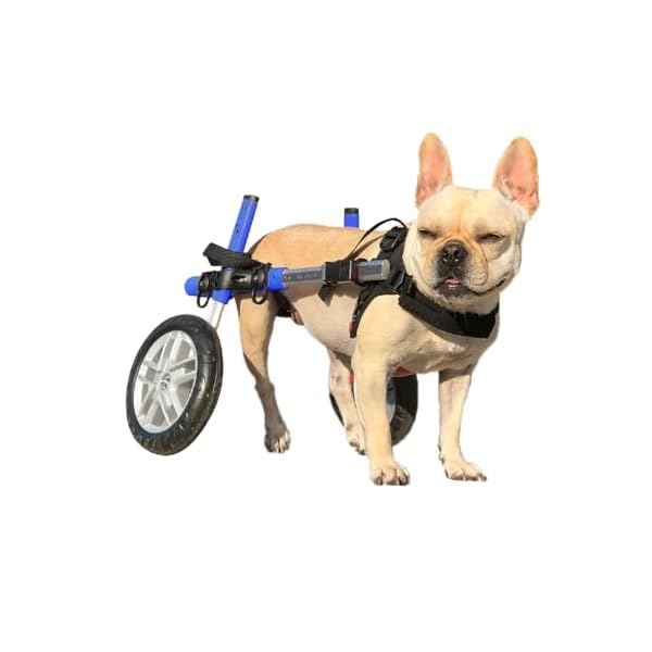 Walkin’ Wheels Small Dog Wheelchair, Lightweight Dog Wheelchair for Back Legs, 15-25 lbs, for 6-8 inches Leg Height – Blue